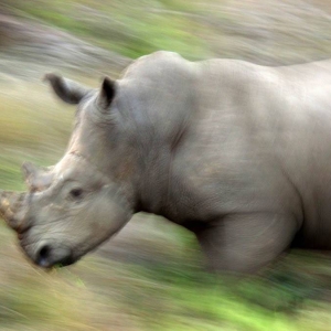 soafrica3